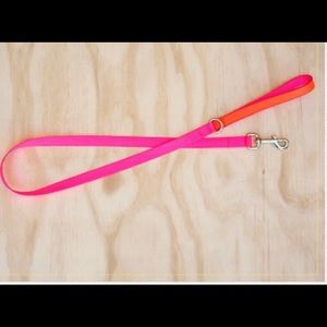 Two tone Nylon/Leather Lead